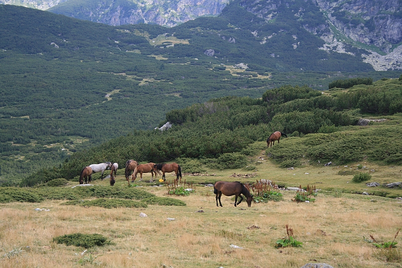 Bulgaria 2008 524